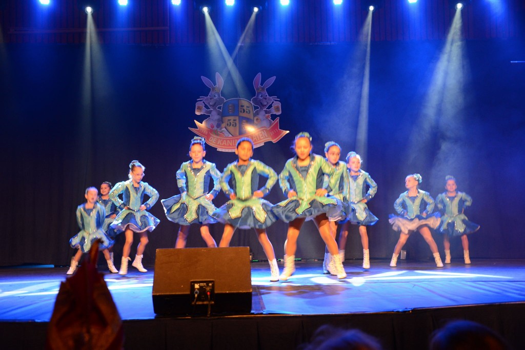 ../Images/Dansmarieke festival 2015 067.jpg